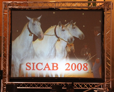 SICAB BILDER 2008
